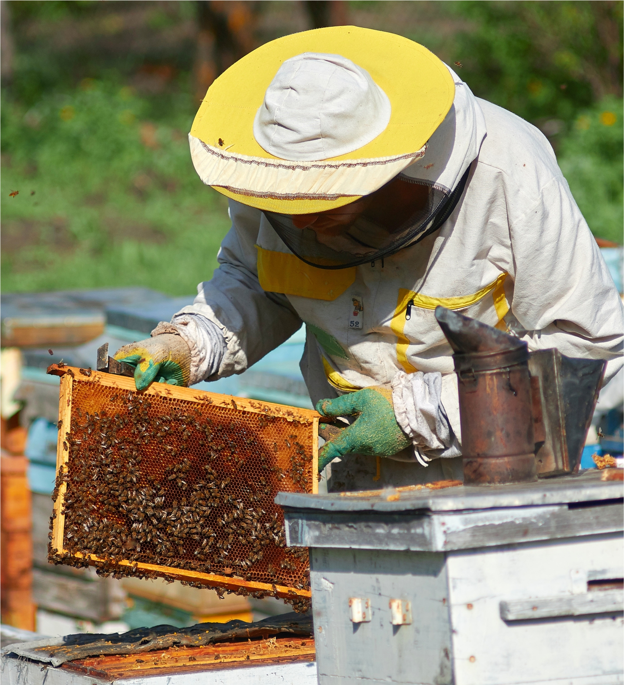 Natural Reserves Organic Multi Flora Raw Honey - Image 8